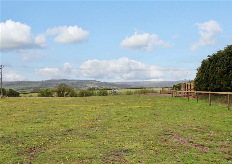 Enjoy the garden (photo 4) at Crossbutts Farmhouse, Whitby
