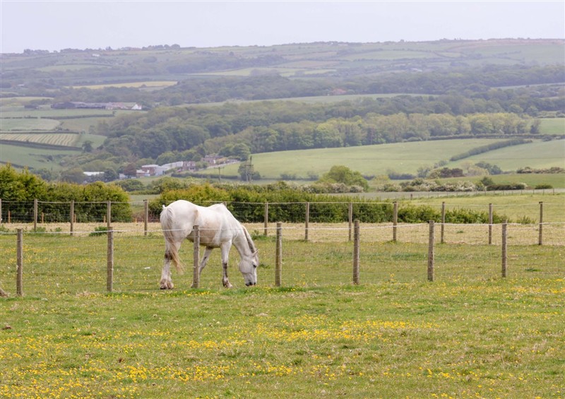 Outside at Crossbutts Farmhouse, Whitby