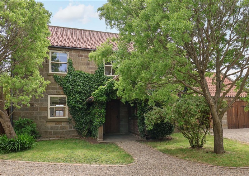 The garden at Crossbutts Farmhouse, Whitby