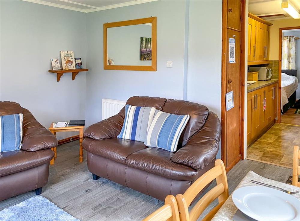 Living room/dining room at Crowlwm Chalet in Llanidloes, Powys