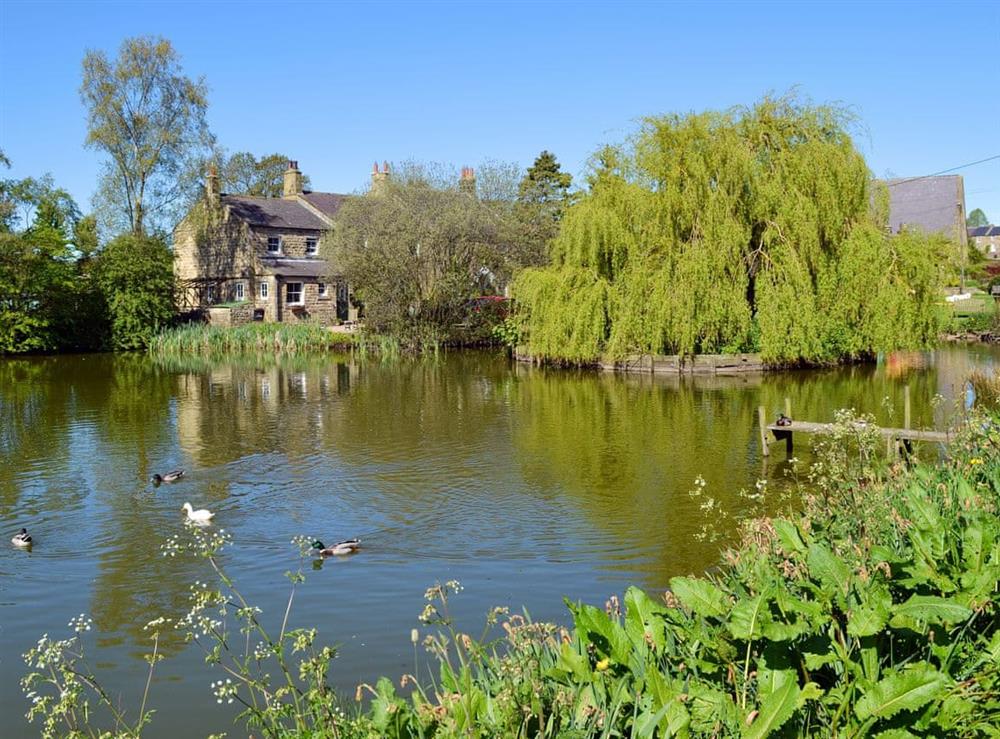 Quintessential Yorkshire village, with a duck pond at Crown Courtyard Cottage in Grewelthorpe, near Masham, North Yorkshire