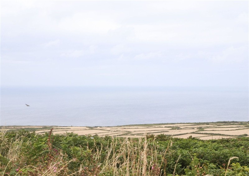 The garden in Crows Nest at Crows Nest, St Ives