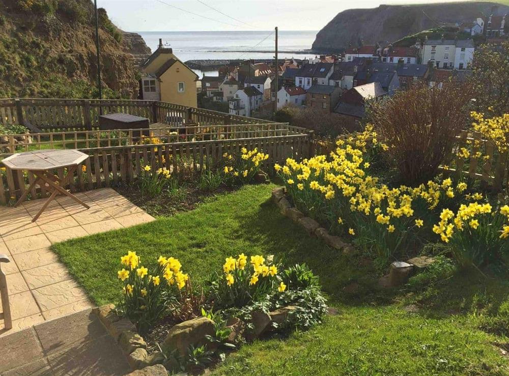 Garden at Crow’s Nest in Staithes, Cleveland., Yorkshire