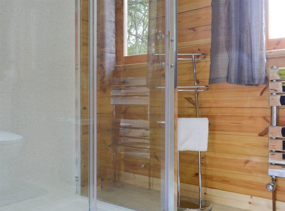 Delightful shower room with cubicle at Cruachan Log Cabin in Banavie, near Fort William, Inverness-Shire