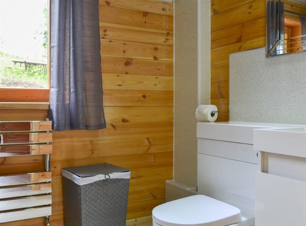 Shower room with heated towel rail at Cruachan Log Cabin in Banavie, near Fort William, Inverness-Shire