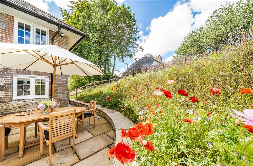 A glorious spot to relax and enjoy the wildflowers and butterflies at Crumpet Cottage, Dorchester