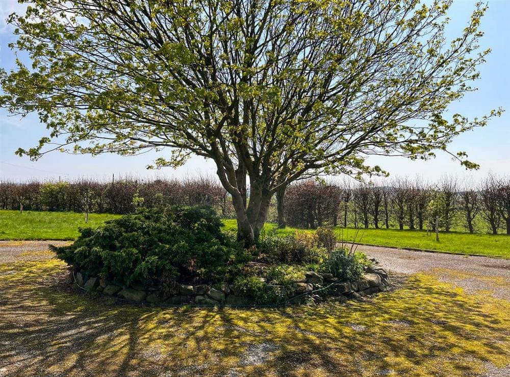 Outdoor area at Crumquhill Bungalow in Ringford, near Castle Douglass, Kirkcudbrightshire