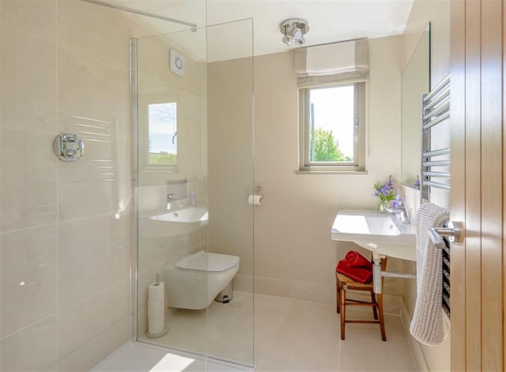 Shower room at Cruxton Lodge in Little Cruxton, Cruxton, Dorchester, England