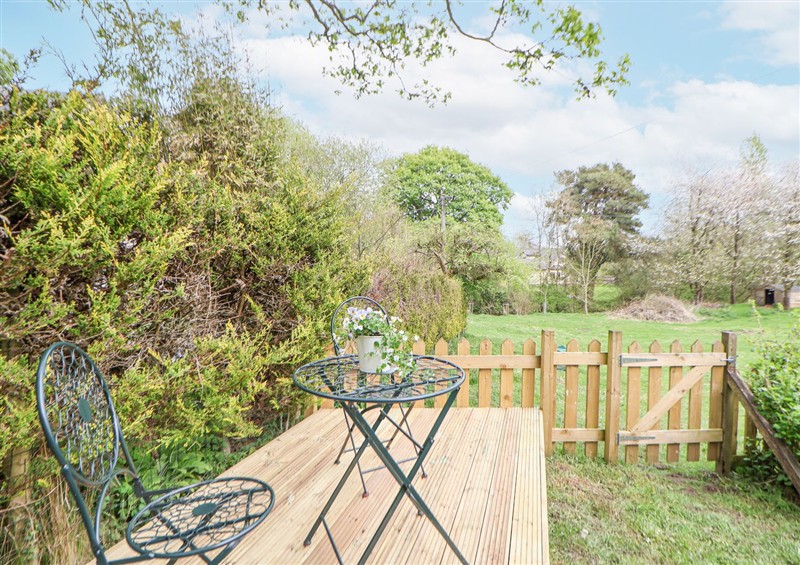 Outside at Cuddfan at Swallow Cottage, Rhydtalog near Coedpoeth