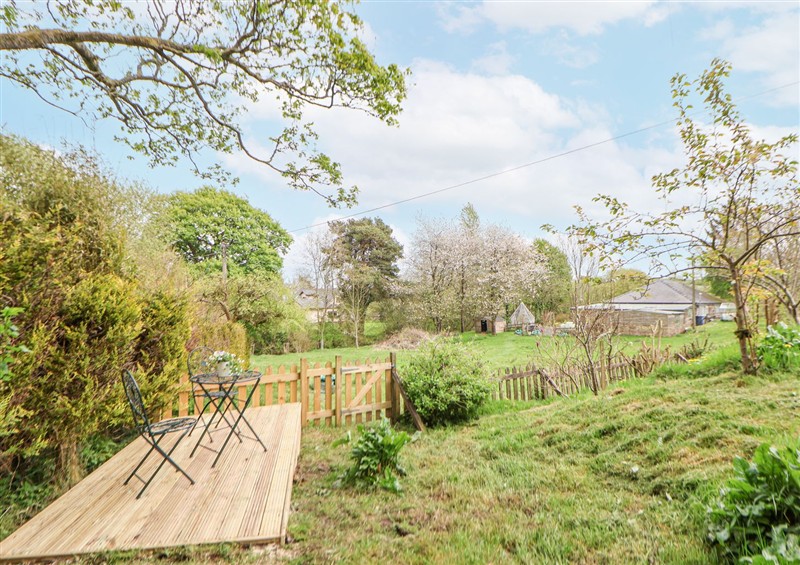 The garden at Cuddfan at Swallow Cottage, Rhydtalog near Coedpoeth