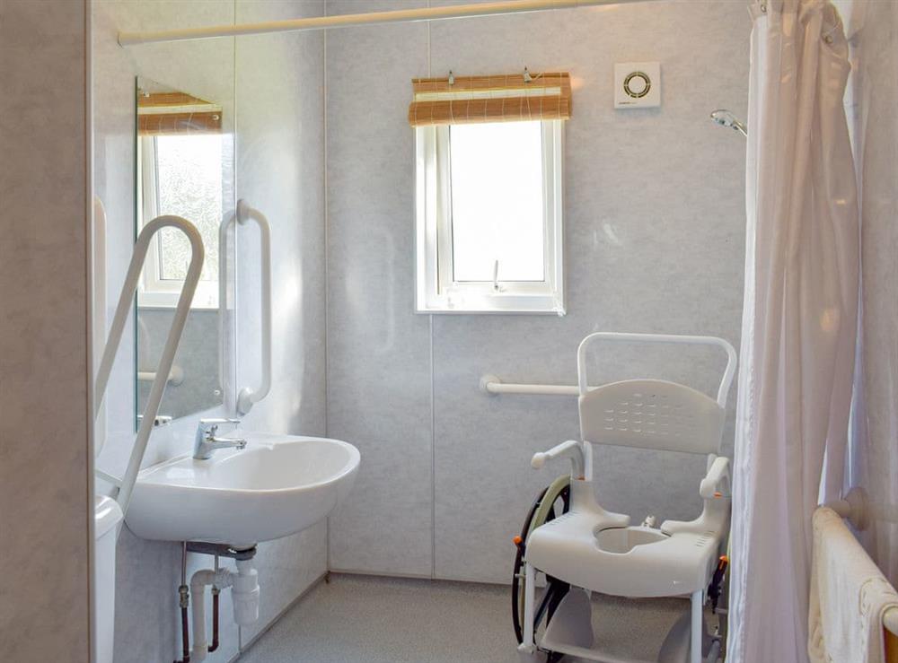 Wet room with walk-in shower, grab rails, hoist, toilet seat, shower seat and toilet