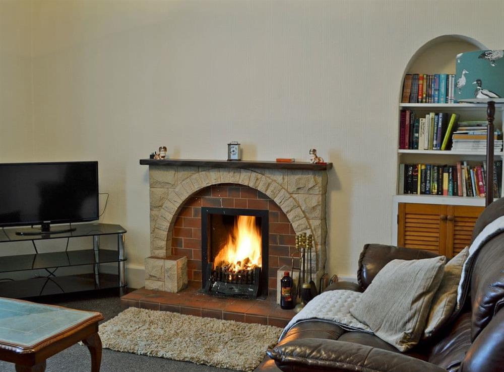 Cosy living room with open fire at Culquhasen in Newton Stewart, near Stranraer, Dumfries and Galloway, Wigtownshire