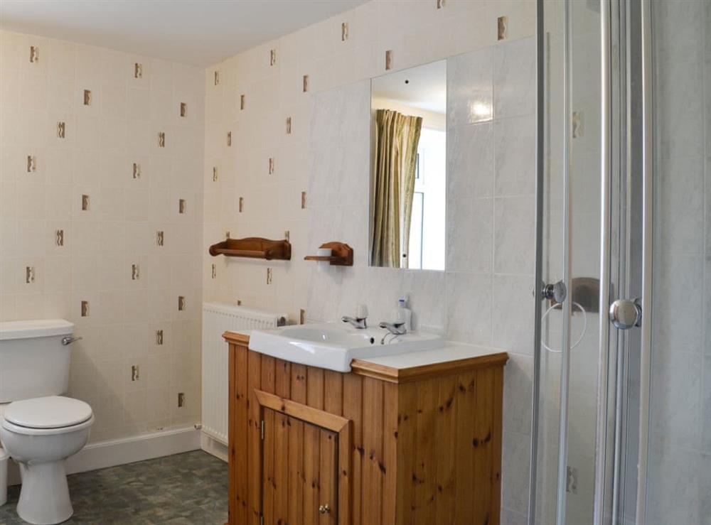 Ground floor shower room with wc at Culquhasen in Newton Stewart, near Stranraer, Dumfries and Galloway, Wigtownshire