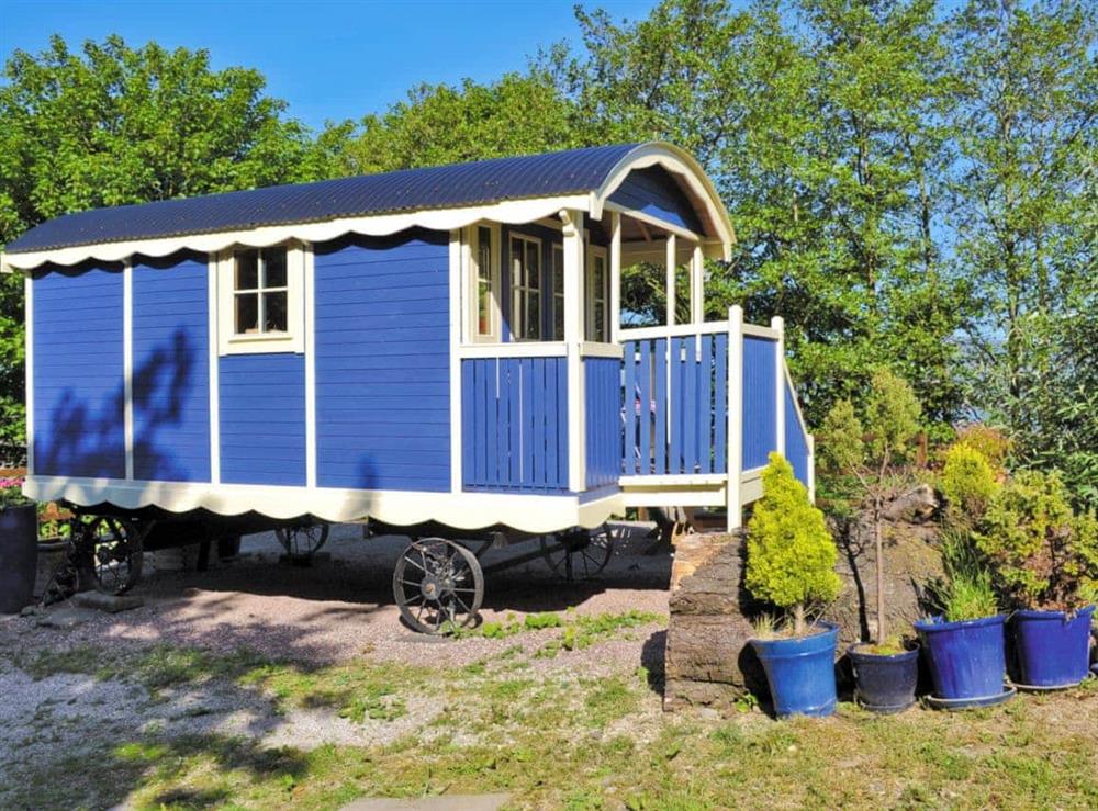 Quirky holiday home