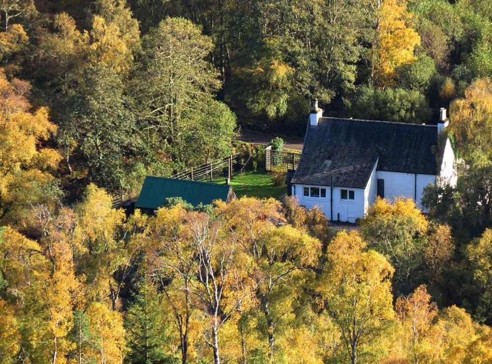 Exterior (from hill in Autumn) at Curin Cottage in Strathconon, near Strathpeffer, Ross-Shire