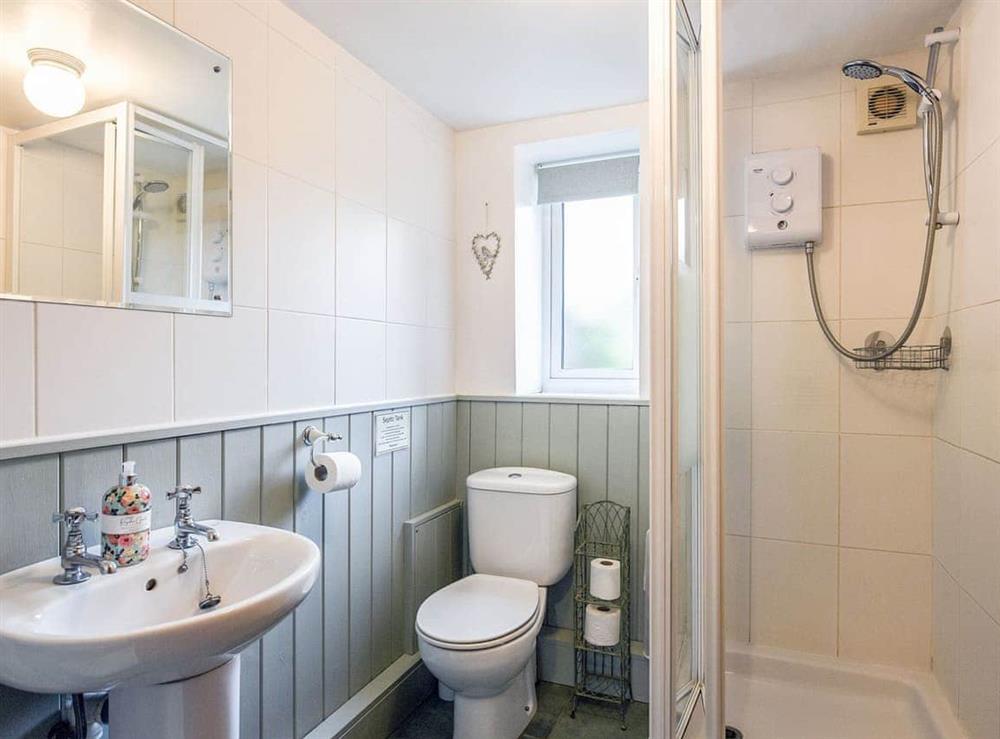 Shower room at Curlew Cottage in Bishops Castle, Shropshire