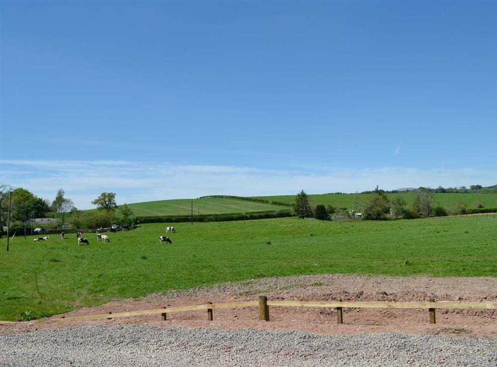 View at Curlew Cottage in Lockerbie, Dumfriesshire