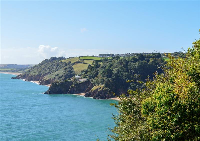 The area around Curlew at Curlew, Dartmouth