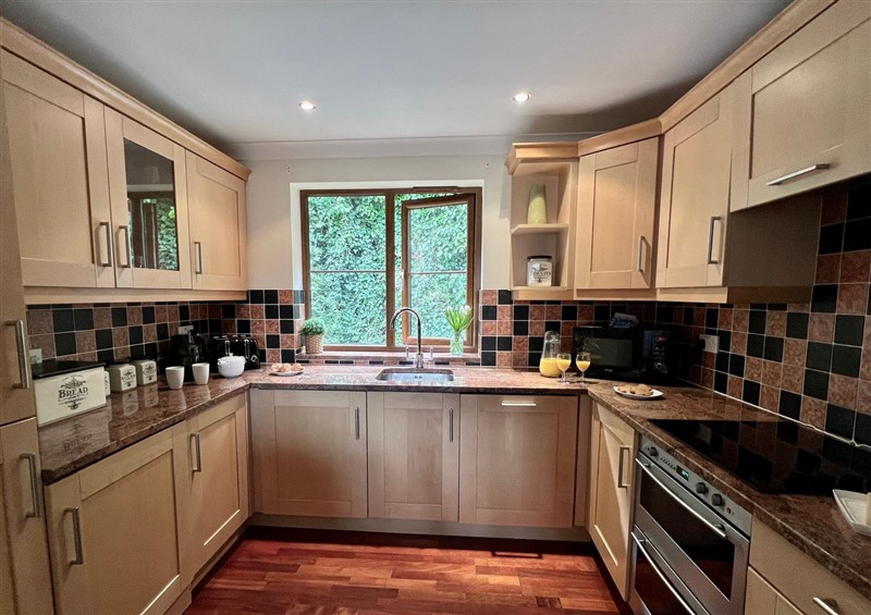 Kitchen at Curnows, Portreath