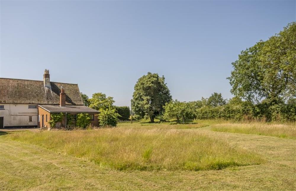 Large grass area comprising of lawn, orchard, wildflowers