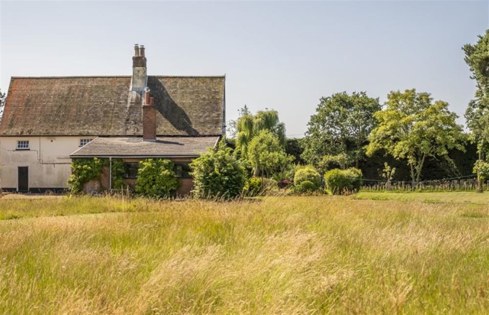 Large grass area comprising of lawn, orchard, wildflowers