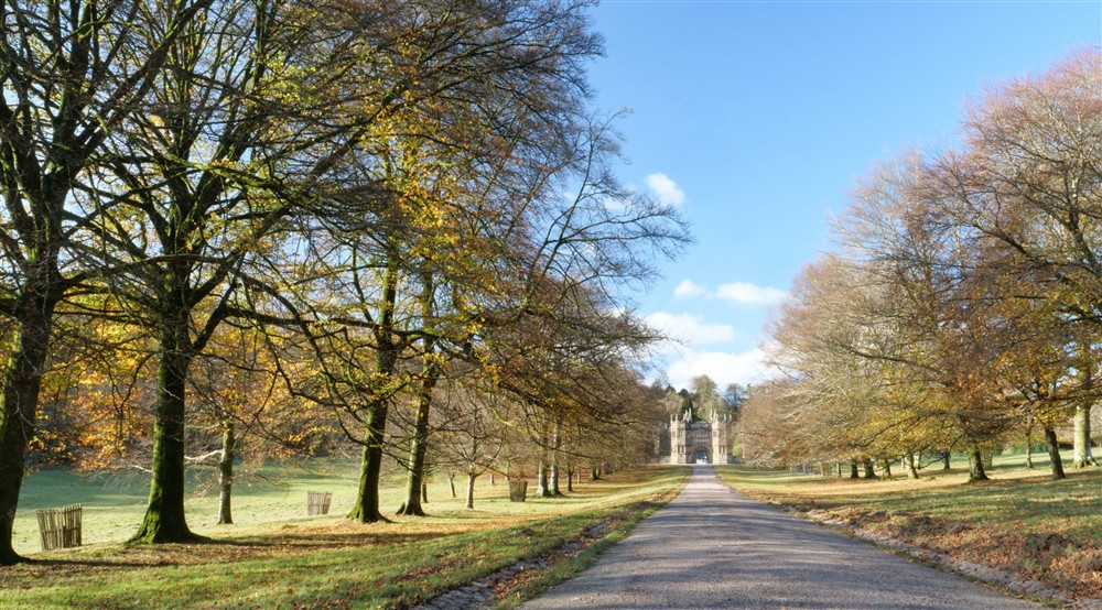Autumnal view up a long, straight drive, lined by beech trees, to a stone gatehouse, lit by low sun with a blue sky at Cutmadoc in Bodmin, Cornwall