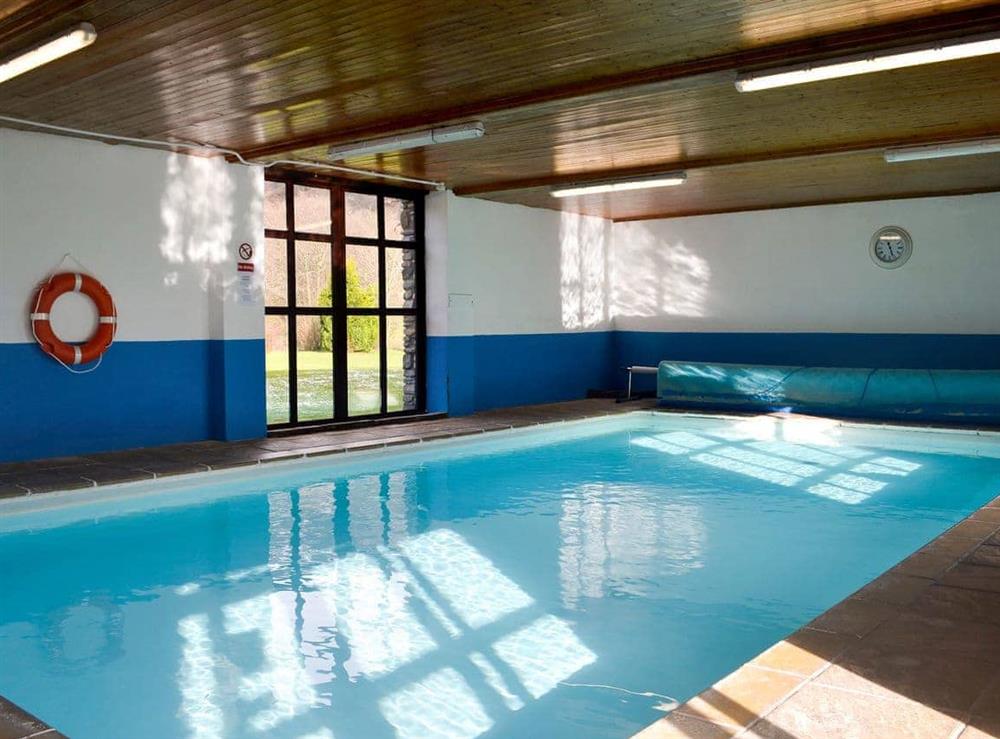 Shared indoor heated swimming pool at Kite 1, 