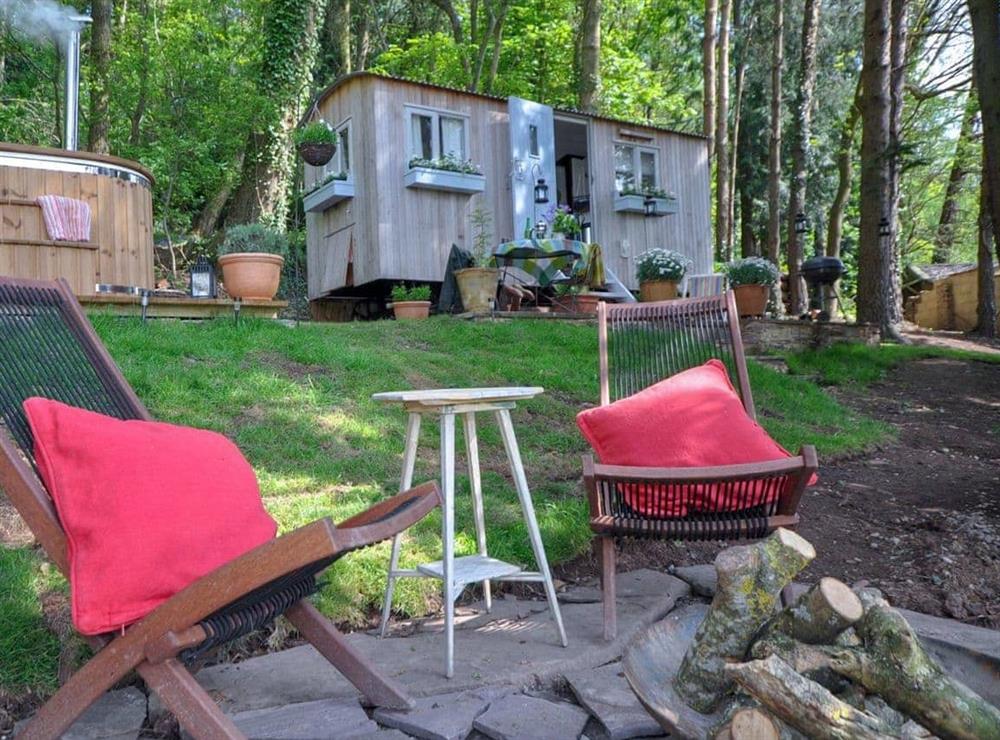 The setting at Cwm Dwr Bluebell Hut in Dulas, Hereford, Herefordshire