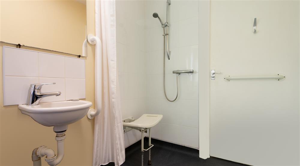 The accessible shower room (photo 2) at Cwm Ivy Lodge Bunkhouse in Gower, Swansea
