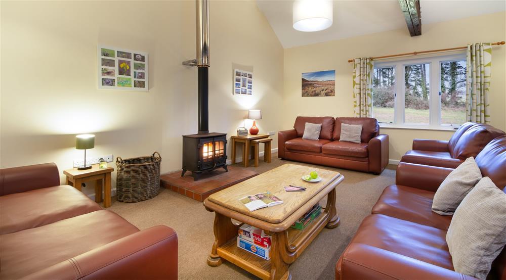 The sitting room area at Cwm Ivy Lodge Bunkhouse in Gower, Swansea