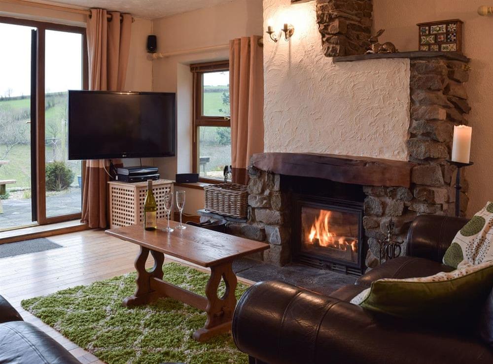 Cosy living room with wood burner at Cwmhowell in near Carmarthen, Carmarthenshire, Dyfed