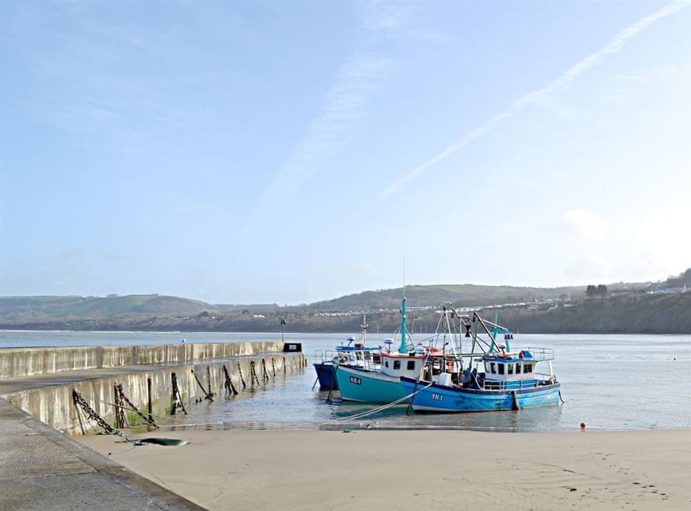 New Quay harbour at Cwtch, 