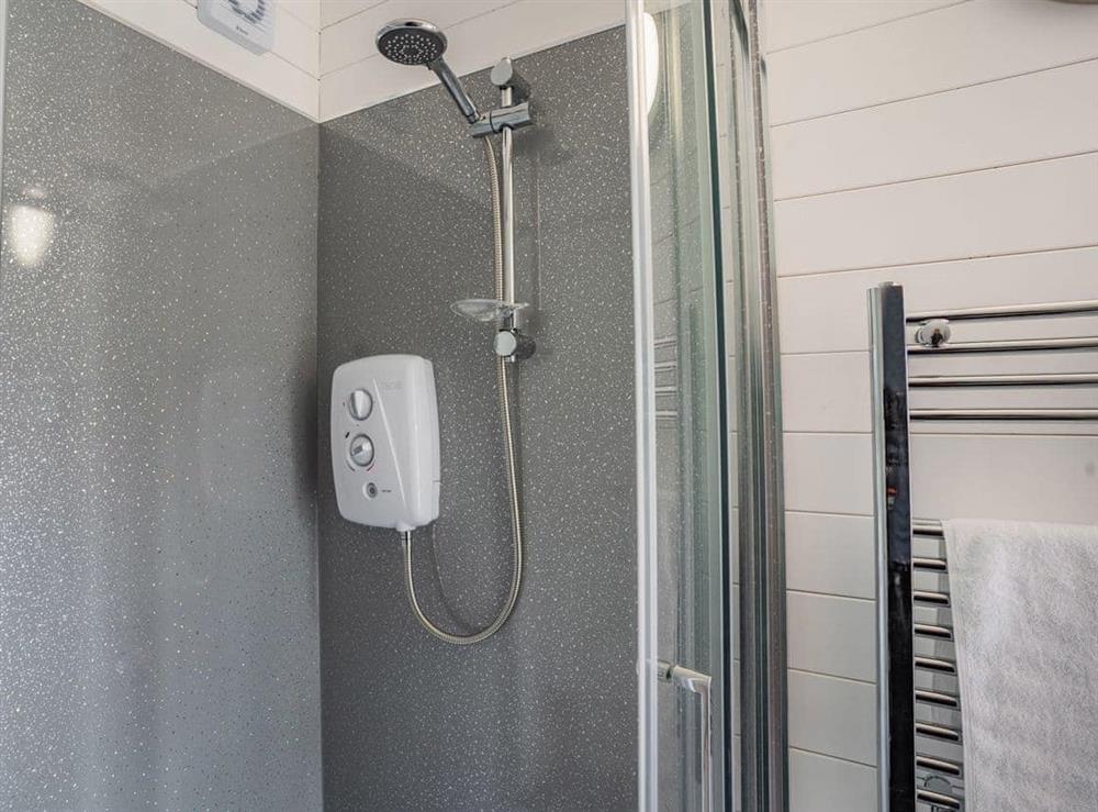 Shower room at Cwtch, 