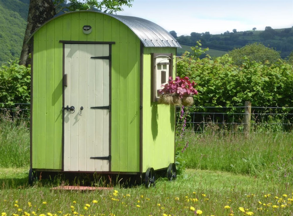 Exterior at Cwt Cwtshlyd in Tregaron, Dyfed