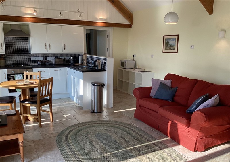 Inside Cwtch