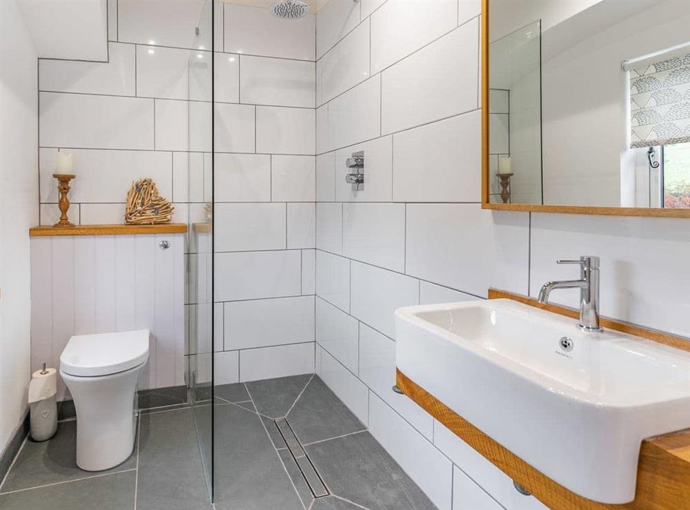 Shower room at Cwtch Ty Gwyn in Llandeilo, Dyfed