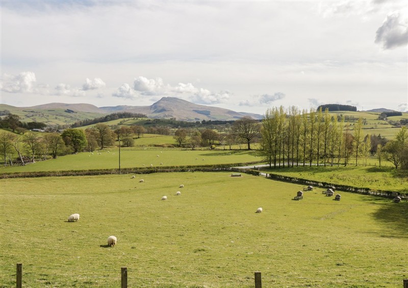 Enjoy the garden (photo 2) at Cyffdy Cottage - Aran, Parc near Bala