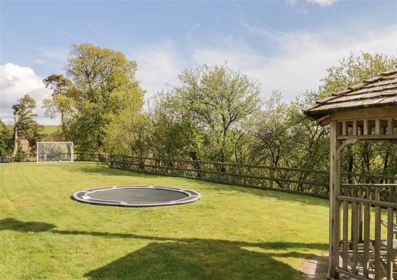 Enjoy the garden at Cyffdy Cottage - Aran, Parc near Bala