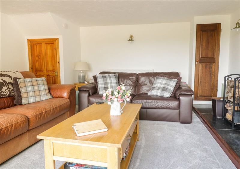 Enjoy the living room at Cyffdy Cottage - Aran, Parc near Bala