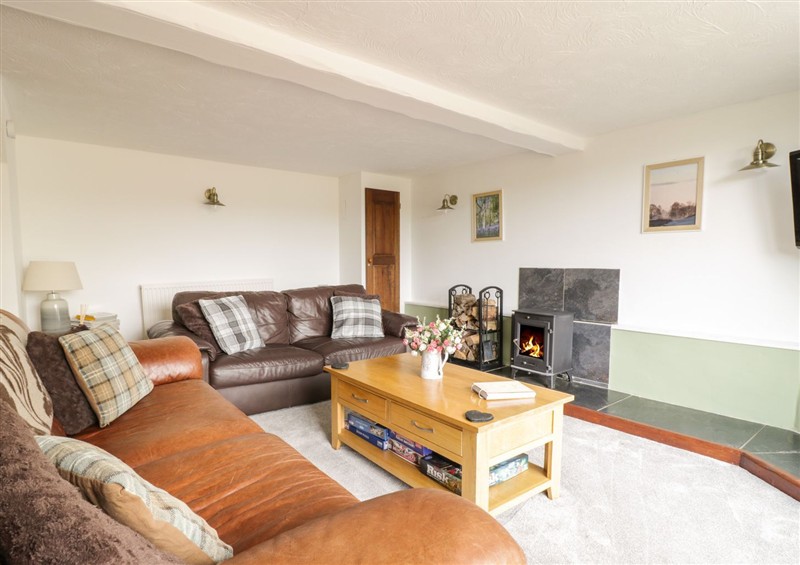 Relax in the living area at Cyffdy Cottage - Aran, Parc near Bala