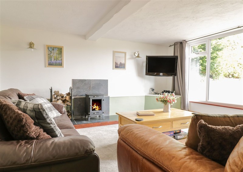 The living area at Cyffdy Cottage - Aran, Parc near Bala