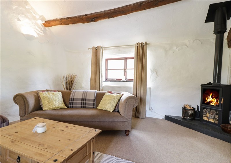 Relax in the living area at Cyffdy Cottage - Arenig, Parc near Bala