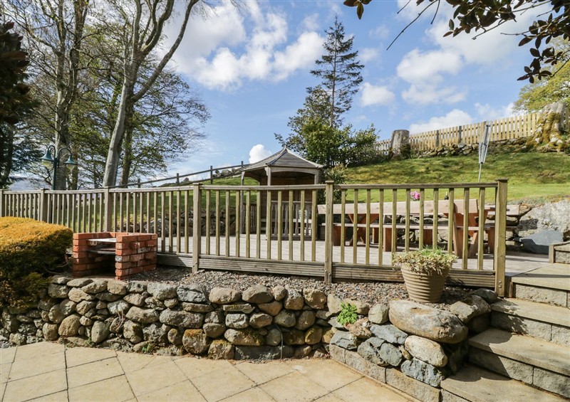 The garden at Cyffdy Cottage - Arenig, Parc near Bala