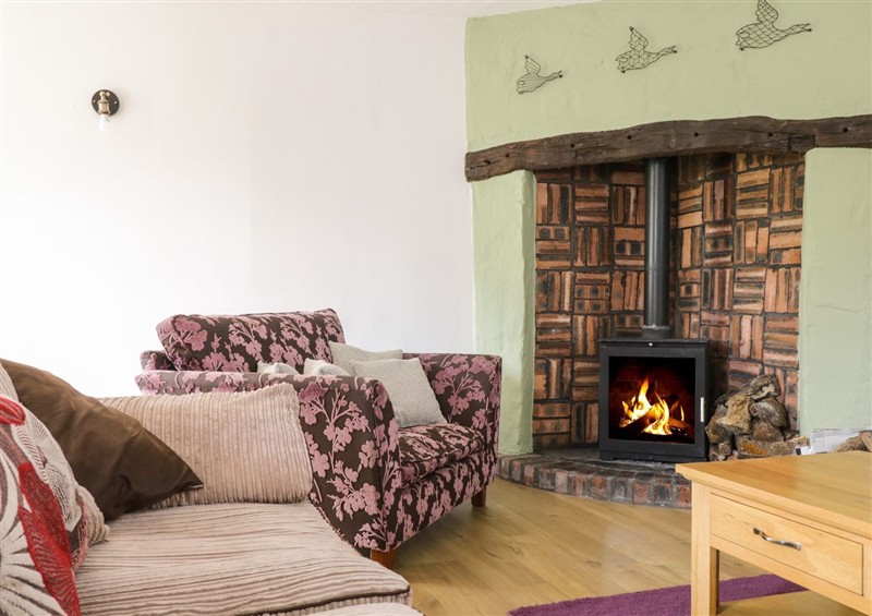 Relax in the living area at Cyffdy Cottage - Tegid, Parc near Bala
