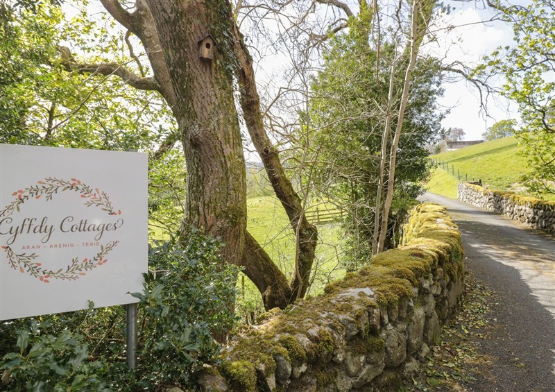 The garden at Cyffdy Cottage - Tegid, Parc near Bala