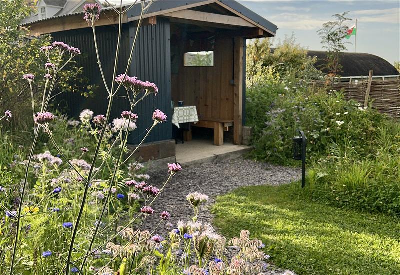 Outside at Cynefin Shepherds Hut, New Quay