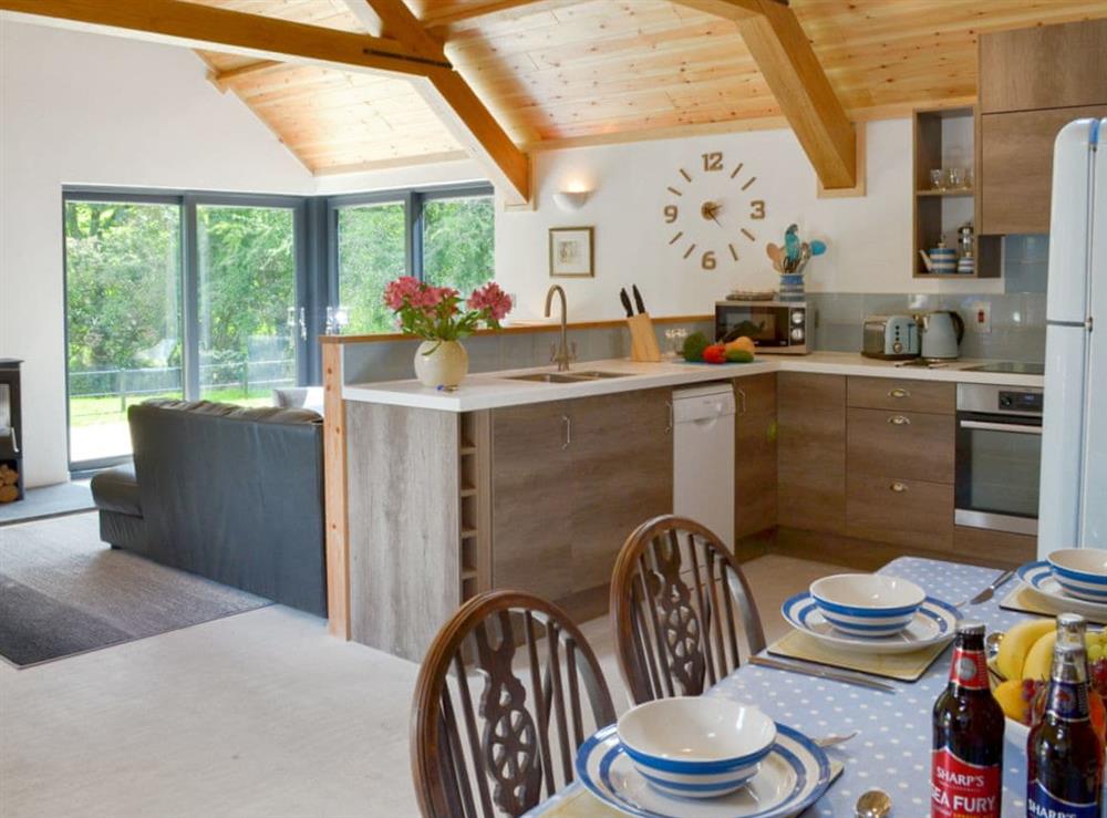 Stunning open plan living space at Daffodil in Linkinhorne, near Callington, Cornwall