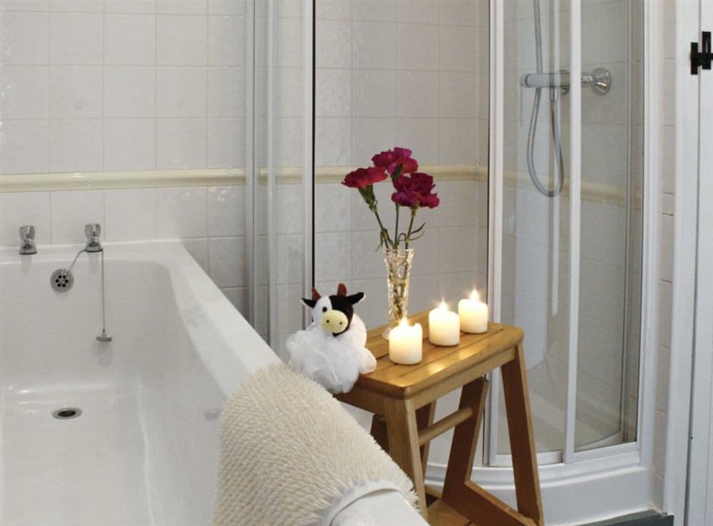 Family bathroom with separate walk-in shower cubicle at Dairy Cottage in Barnstaple, Devon