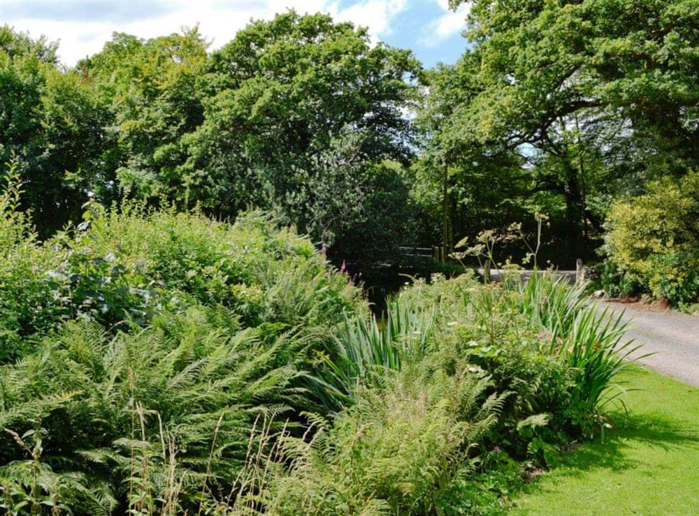 Garden at Dairy Cottage in Bodmin, Cornwall