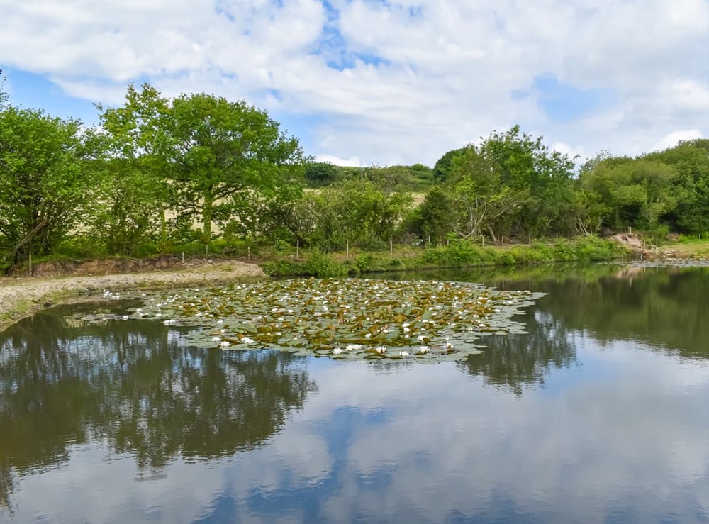 Surrounding area (photo 4) at Dairy Cottage in Trebell Green, near Bodmin, Cornwall